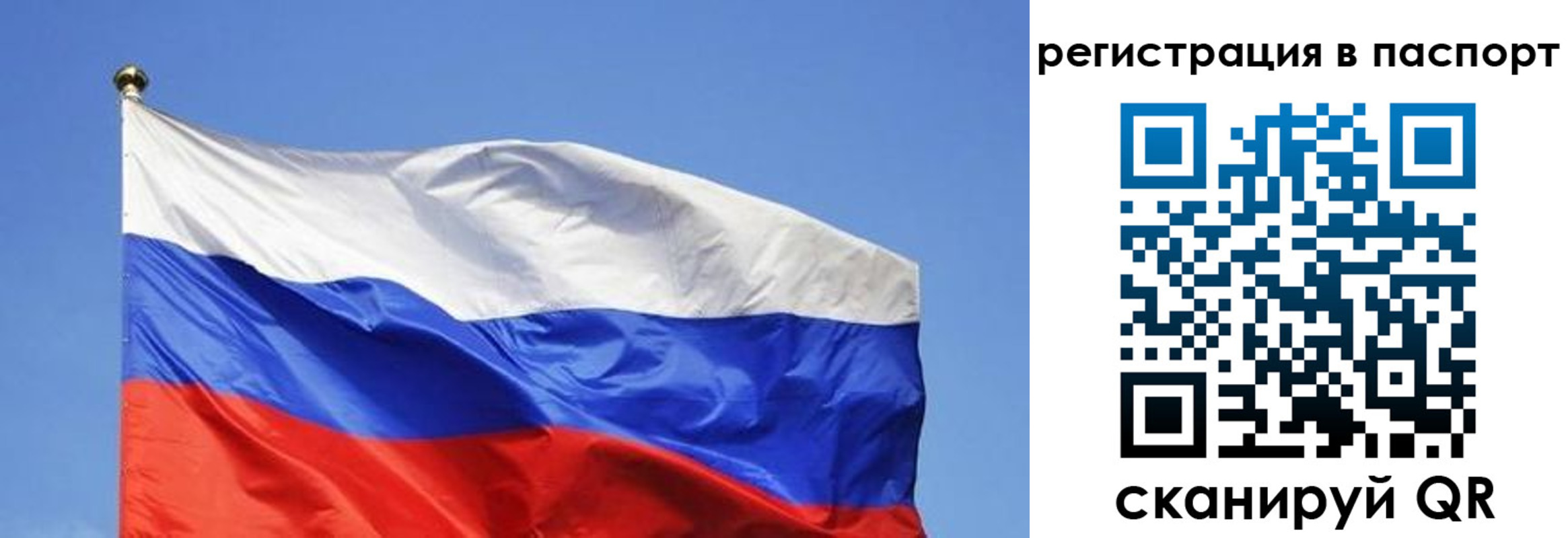 прописка в квартире в Зарайске